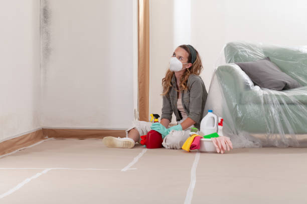 Reliable Mold Cleanup contractor in Towson, MD by Cheap Mold Removal